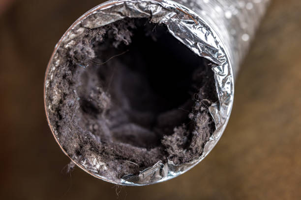 Best Home Air Vent Cleaning  in Laurel, MD